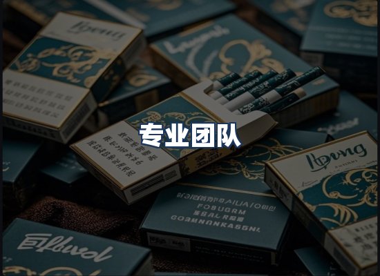 专业团队